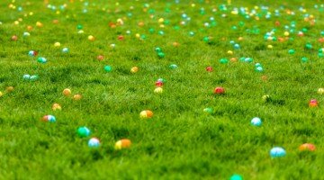 A 2016 list of Easter Egg Hunts In Western MA