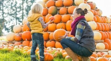 Looking for pumpkin patches in Western Ma? Here's a big list!